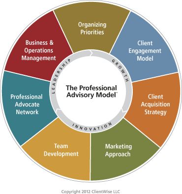 The Professional Advisory Model