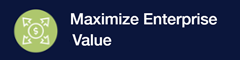MAXIMIZE ENTERPRISE VALUE
