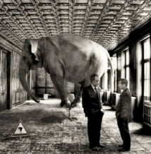 elephant in the business room 