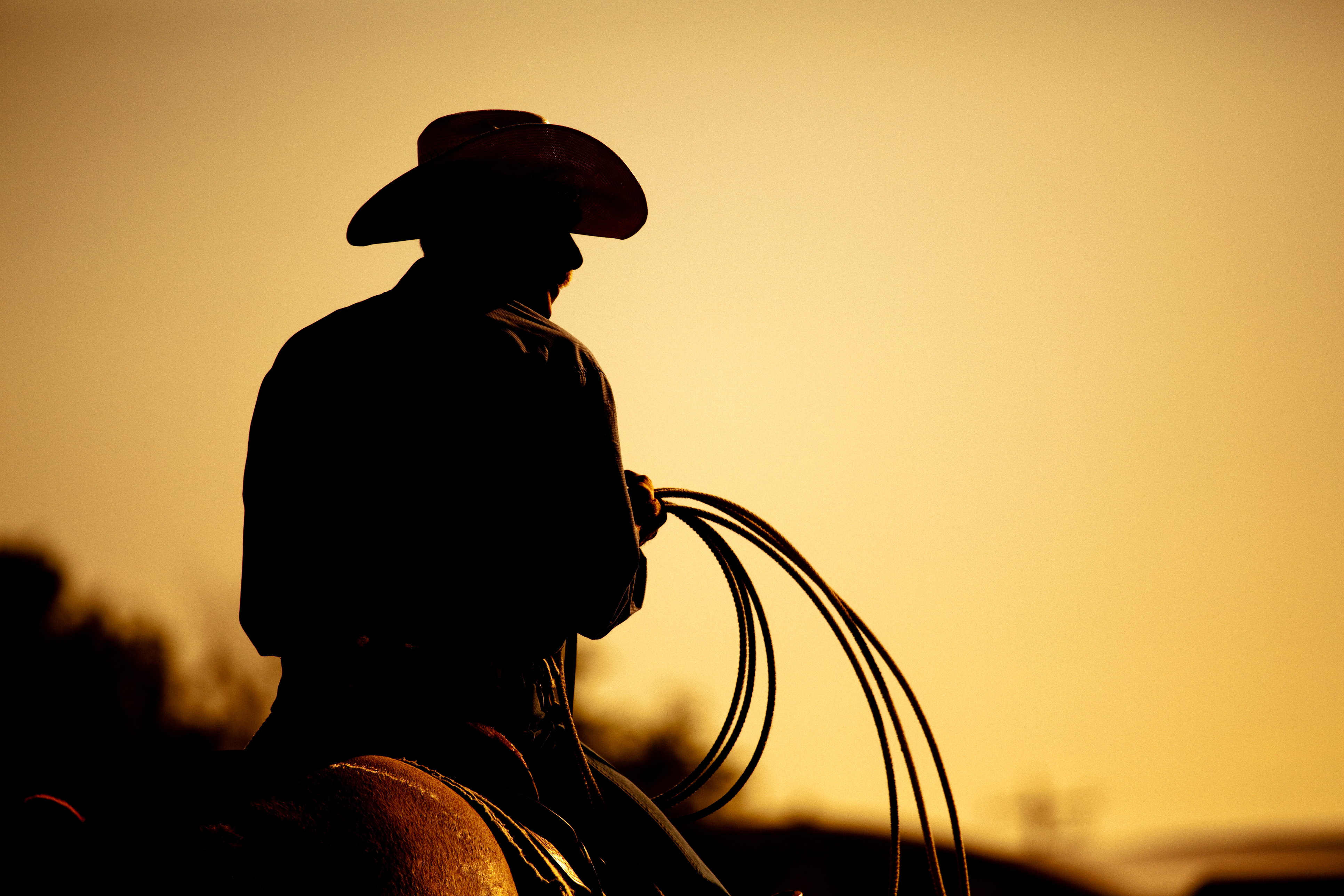 cowboy with lasso silhouette